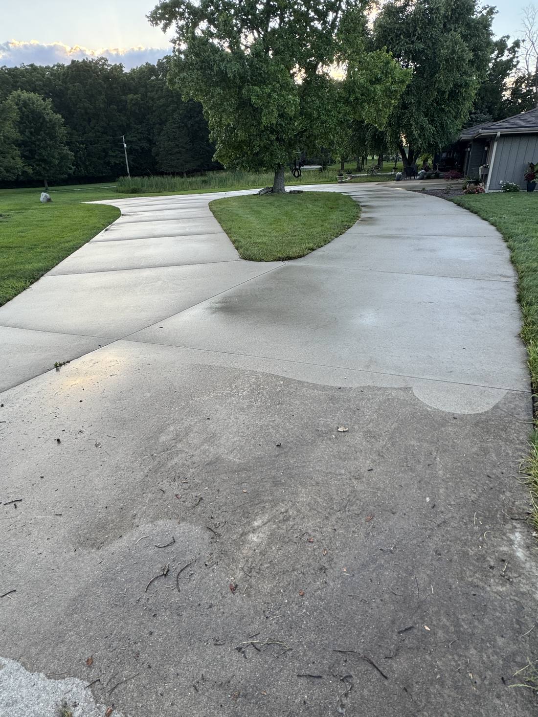 Freshly cleaned concrete driveway winding toward a home